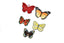Monarch Butterfly Appliques | Orange Butterfly Applique Patch | Butterfly Applique Patch