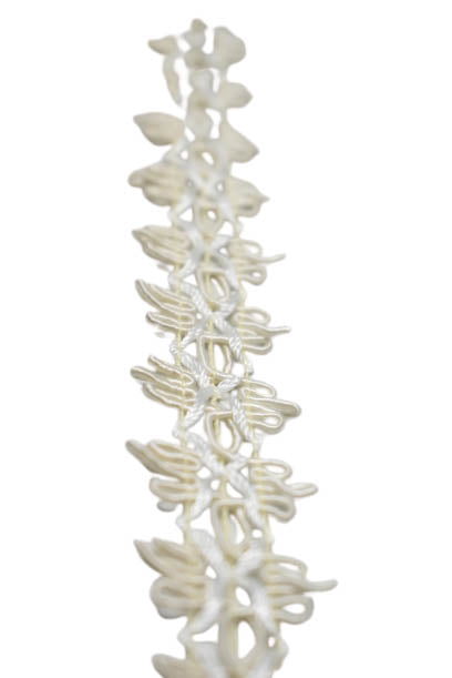 High-Quality Cotton Gimp 1 1/4" - 1 Yard