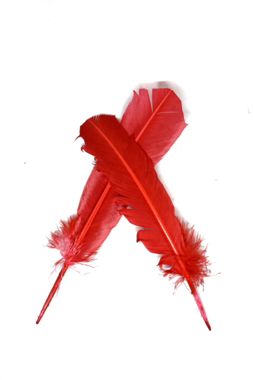 Red Feather Pieces 11.50" x 2.50" | Feather Patch Applique - Target Trim