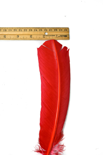 Red Feather Pieces 11.50" x 2.50" | Feather Patch Applique - Target Trim