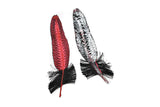 Red & Black Feather Applique 5" x 1.50" | Feather Patch Applique - Target Trim