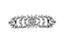 Floral Rhinestone Buckle