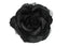 Black Organza Flower Piece
