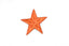 Orange Embroidered Star Appliques - Iron-on Star Patch