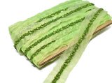 Sequins and Beaded Organza Trim - Target Trim