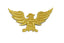 Embroidered Gold Eagle Iron-On Patch