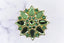 Green Floral Rhinestone Applique | Flower Shape Jewelry Accessory | DIY Designs | Rhinestone Patch Applique