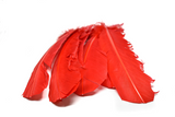 Red Feather Pieces 11.50" x 2.50" | Feather Patch Applique - Target Trim