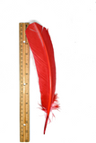 Red Feather Pieces 11.50" x 2.50" | Feather Patch Applique - Target Trim